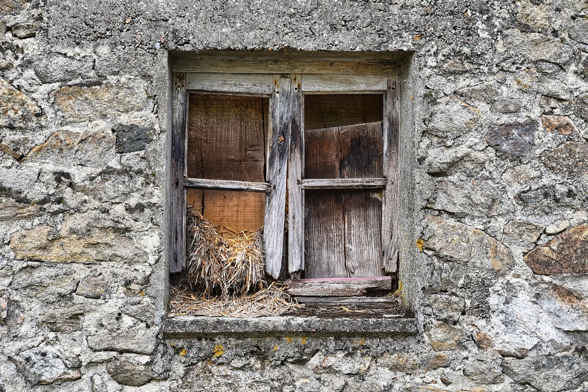 Quels sont les différents types de châssis ?