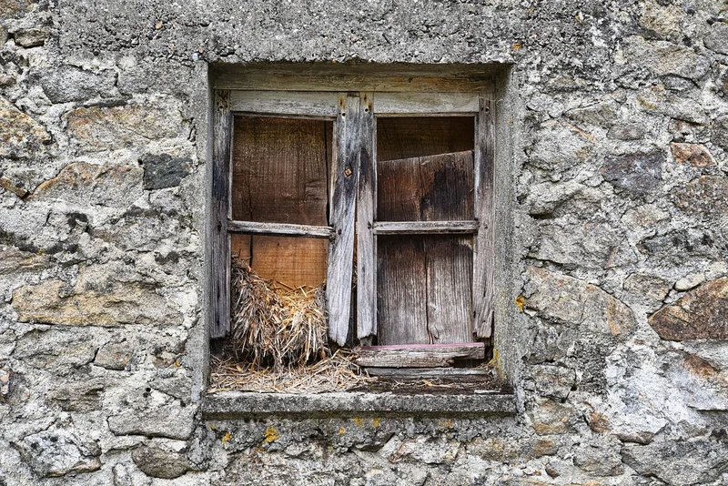Quels sont les différents types de châssis ?